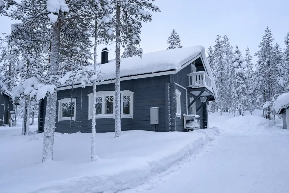Naalinpesä