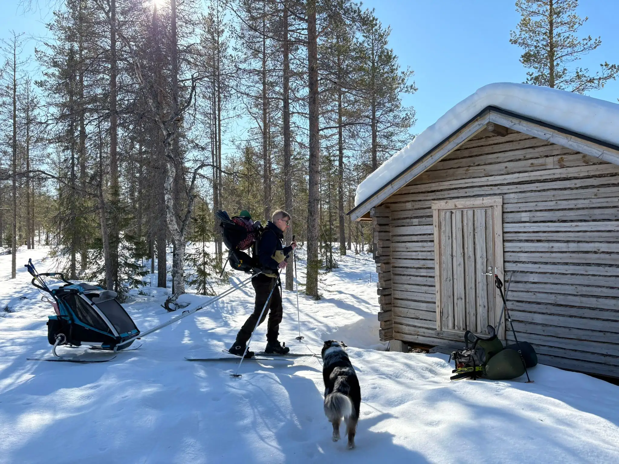 Metsonpesä 4